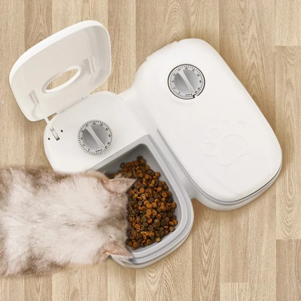 Eco-Friendly Pet Feeding