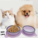 Feed Your Pup Anywhere: Portable, Non-Slip Dog & Cat Bowls (No Choking!)