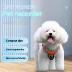 Multi-Perspective Pet Recording