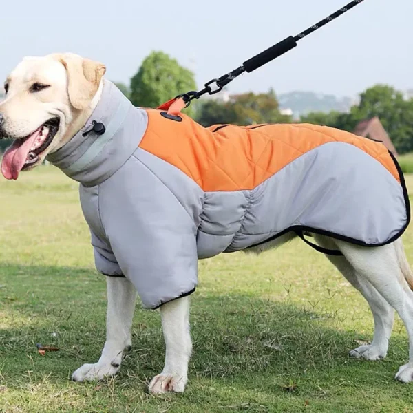 Waterproof Winter Dog Coat for Medium & Large Breeds