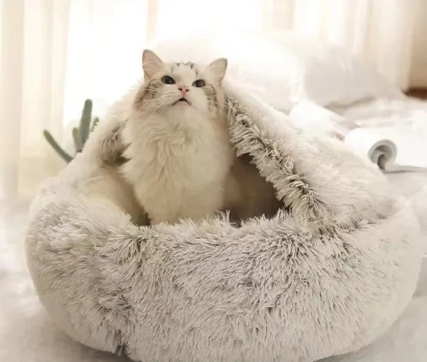 winter cat bed